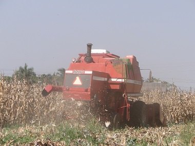 Colheita da safra de milho traz pessimismo quanto à produtividade | Imagem: JB Treinamento