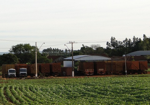 Entressafra da cana-de-açúcar chega mais cedo no Paraná | Imagem: JB Treinamento