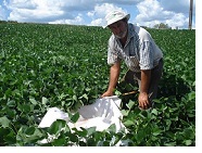 Produtor rural do MIP Produtor rural do MIP